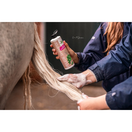 Sampon BENSE & EICKE Care Shampoo