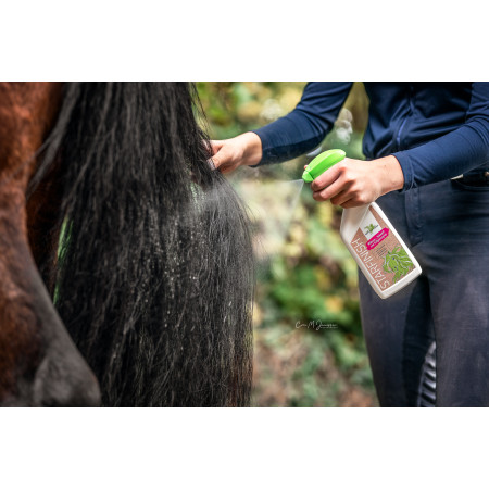 Solutie pentru stralucire BENSE & EICKE StarFinish