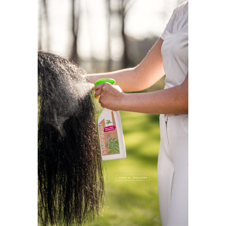 Solutie pentru stralucire BENSE & EICKE StarFinish