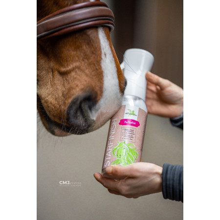 Solutie pentru stralucire BENSE & EICKE StarFinish *fragrance free* 500 ml