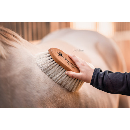 Bense & Eicke Dandy brush "SchmutzLiese“