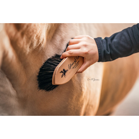 Bense & Eicke Dust & Fur Shine Brush "GlanzElse"