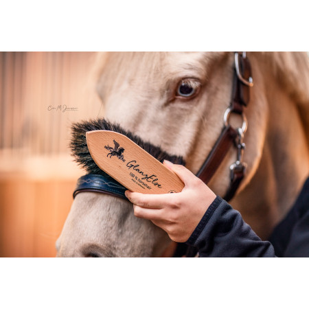 Bense & Eicke Dust & Fur Shine Brush "GlanzElse"