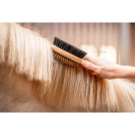 Bense & Eicke Mane & Tail Detangler "KämmLotte"