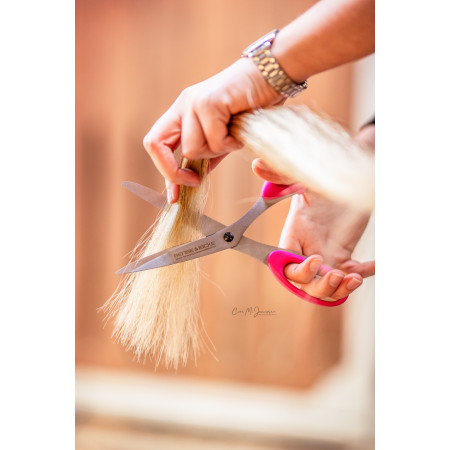 Bense und Eicke Tail Scissors "SchnittBerta"