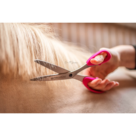Bense und Eicke Tail Scissors "SchnittBerta"