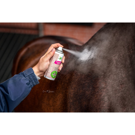 Solutie antibacteriana BENSE & EICKE Silver Spray 200 ml