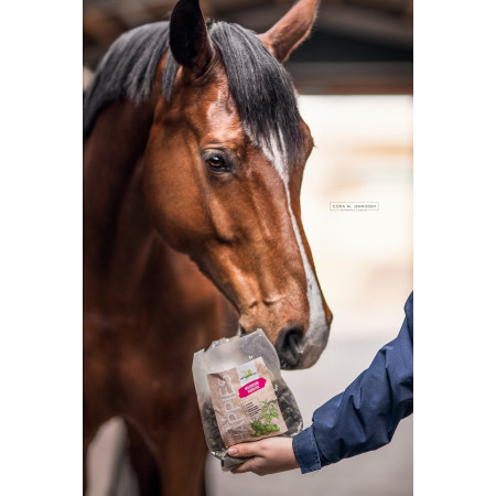Recompensa alimentara BENSE & EICKE Meadow Happies wild berry herbs 1 kg