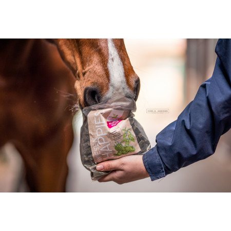 Recompensa alimentara BENSE & EICKE Meadow Happies wild berry herbs 1 kg