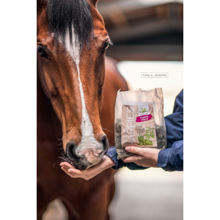 Recompensa alimentara BENSE & EICKE Meadow Happies wild berry herbs 1 kg