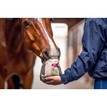 Recompensa alimentara BENSE & EICKE Meadow Happies rosehip linseed 1 kg