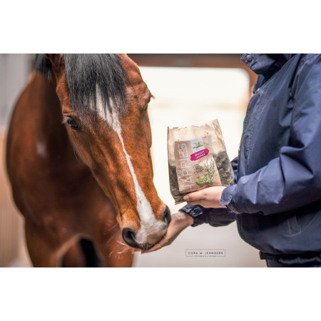 Recompensa alimentara BENSE & EICKE Meadow Happies rosehip linseed 1 kg