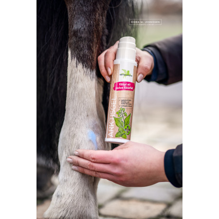 Gel pentru recuperare rapida BENSE & EICKE ArcticGel