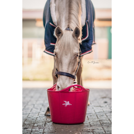 Bense und Eicke Flexibowl "PinkPearl" 28 l