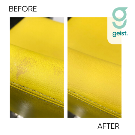 Geist_Easy Colour Restorer_2
